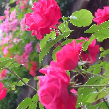 아파트호텔 Grabner 4*