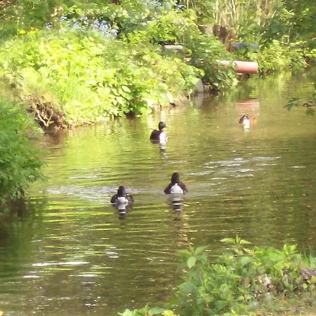 Grabner 바트푸징