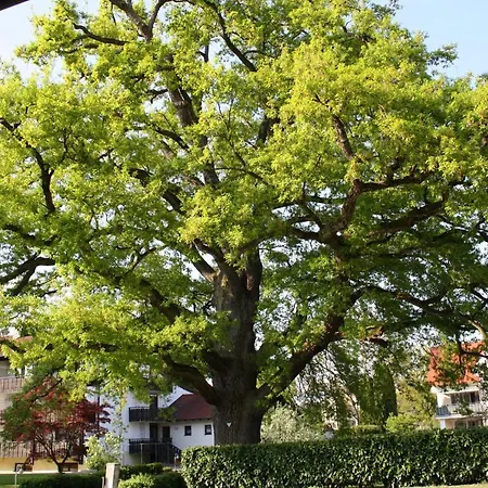 Appart hôtel Grabner 3*