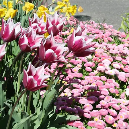 아파트호텔 Grabner 바트푸징