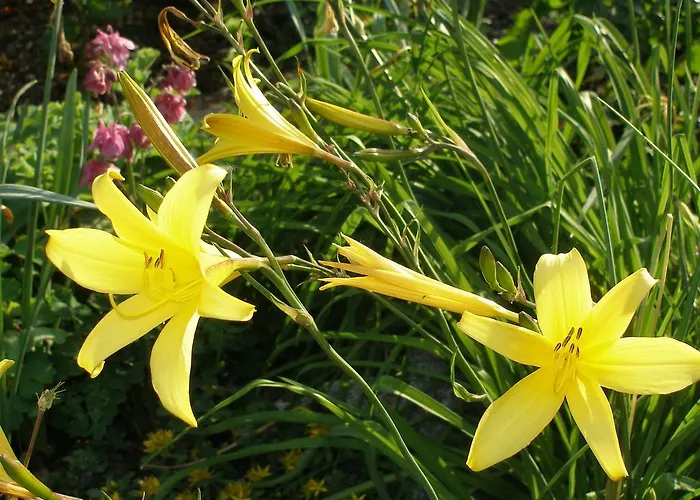 Aparthotel Grabner 4*