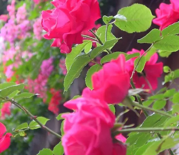 Aparthotel Grabner 4*