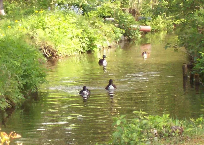 Grabner Bad Füssing