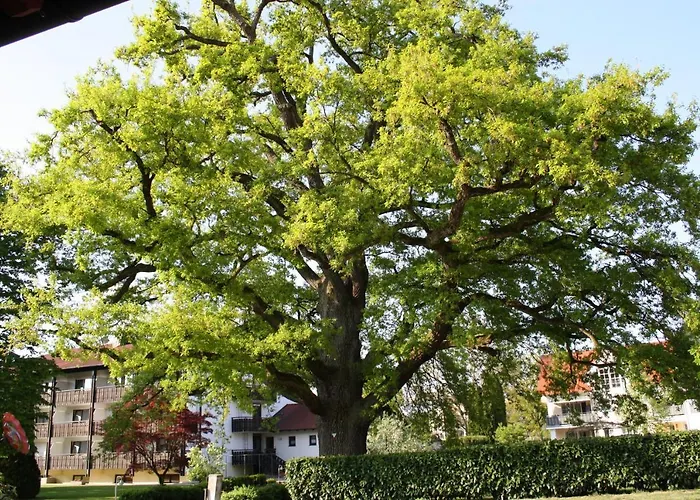 Aparthotel Grabner 4*