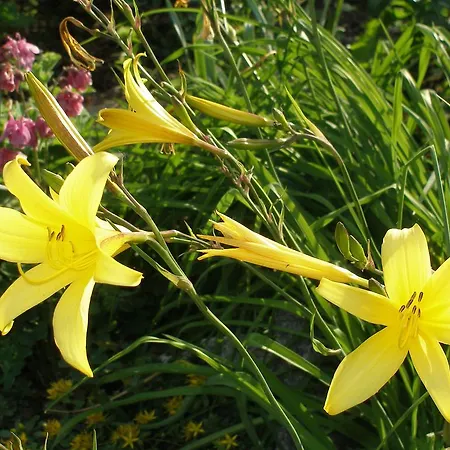 Aparthotel Grabner 4*