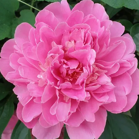 Grabner Bad Füssing