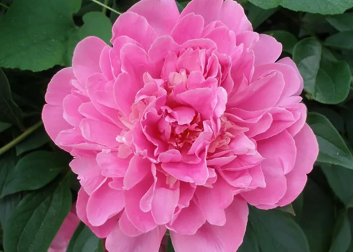 Grabner Бад-Фюссинг