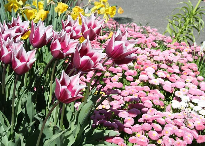 Апарт-отель Grabner Бад-Фюссинг